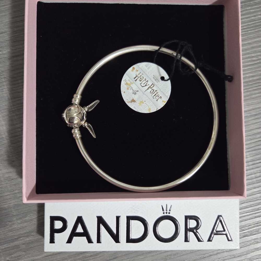 Pandora X Harry Potter Bracelet & Charm